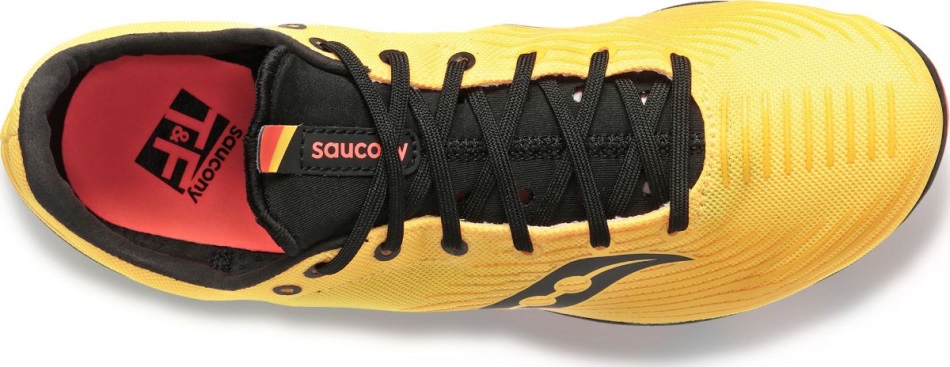 Saucony Vizigold-vizired Ballista Femei Md